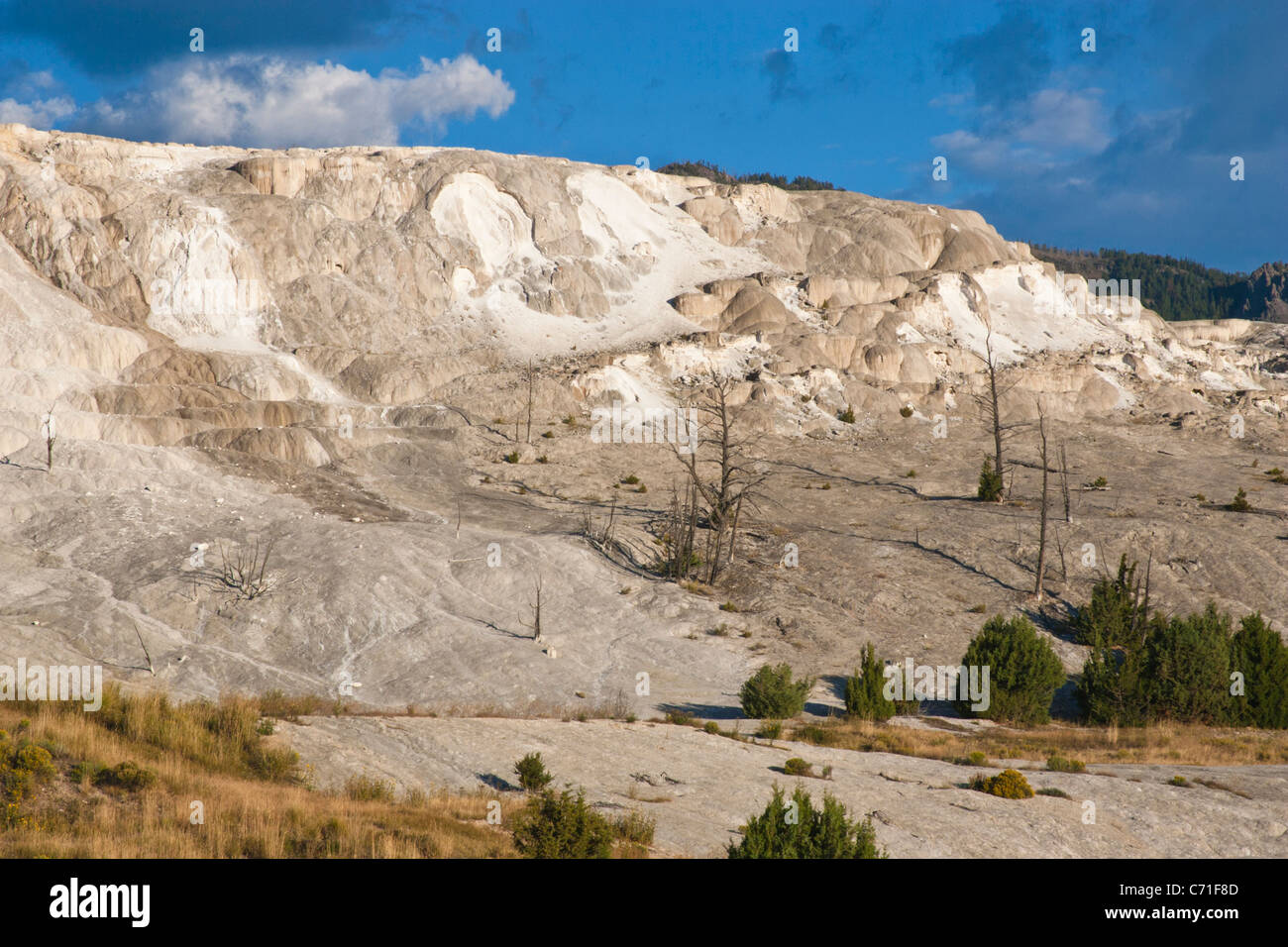 Mammoth Hot Springs terrasses dans le Parc National de Yellowstone dans le Wyoming. Banque D'Images