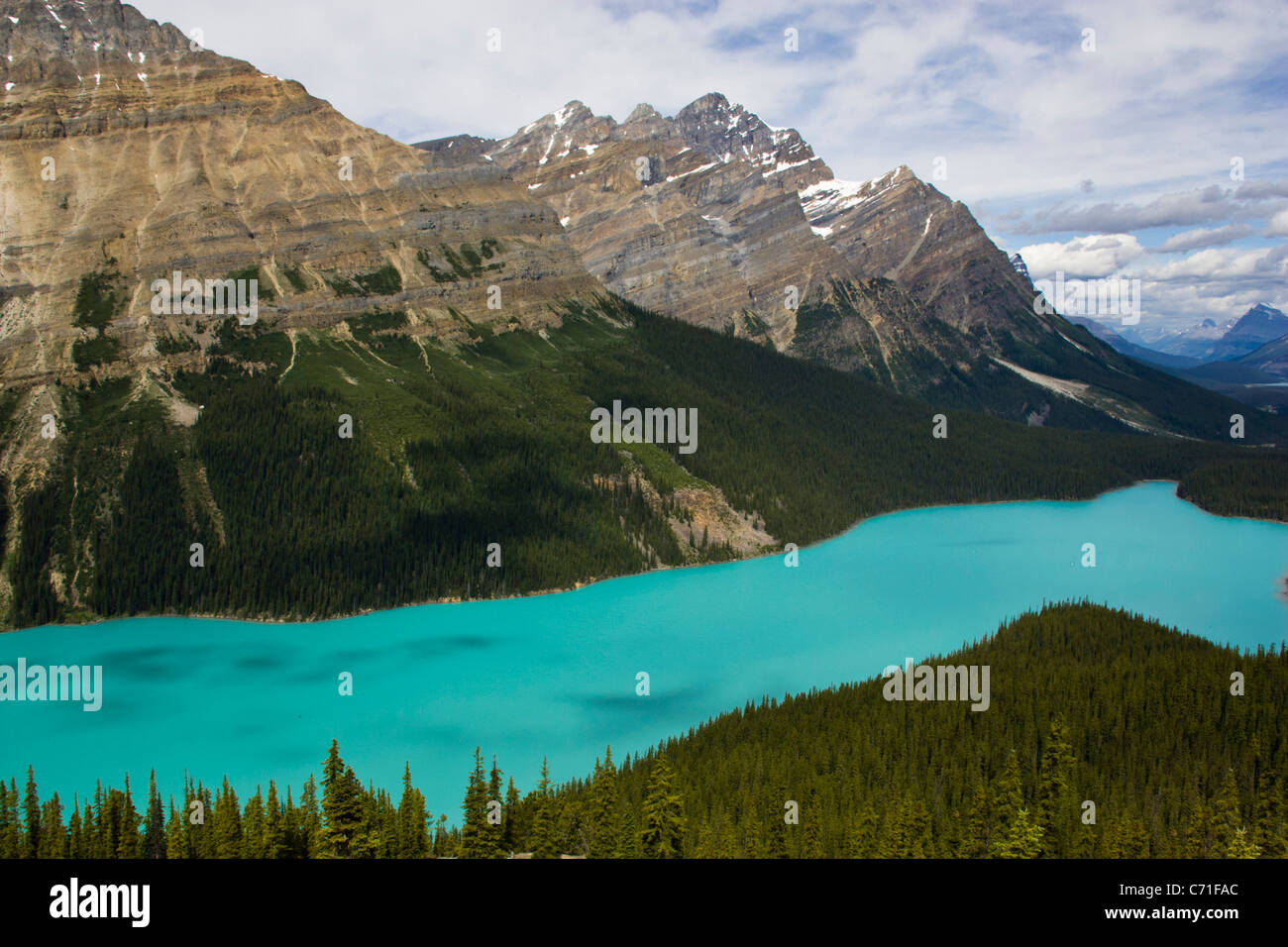 Le lac Peyto est un glacier de couleur spectaculaire lac situé dans le parc national de Banff dans les Rocheuses canadiennes. Banque D'Images