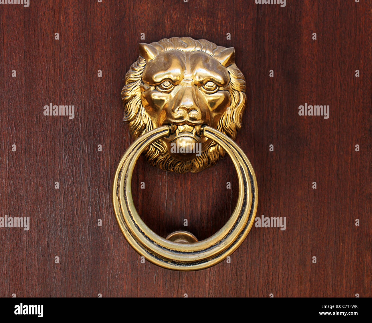 Doorknocker : tête de lion avec anneau Banque D'Images