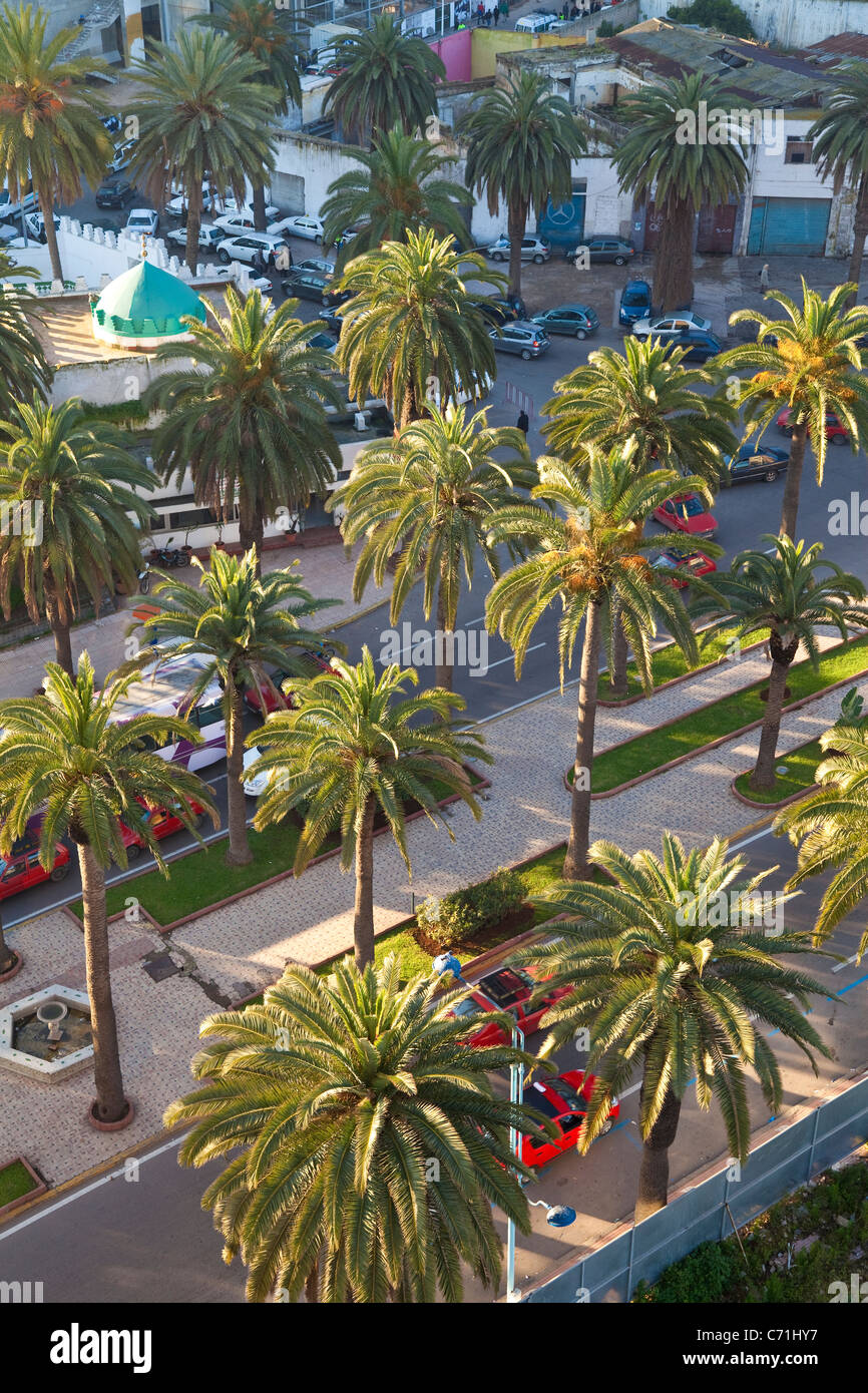 Le Maroc, Maghreb, Casablanca. Le Boulevard de Rachidi est typique de la grande rues bordées d'arbres dans le district de Lusitania smart Banque D'Images