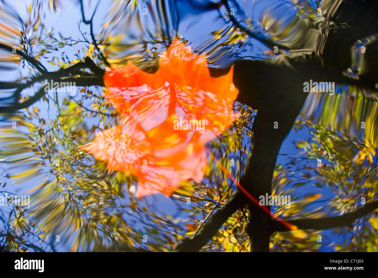 Feuille d'automne sur l'eau - motion blur Banque D'Images