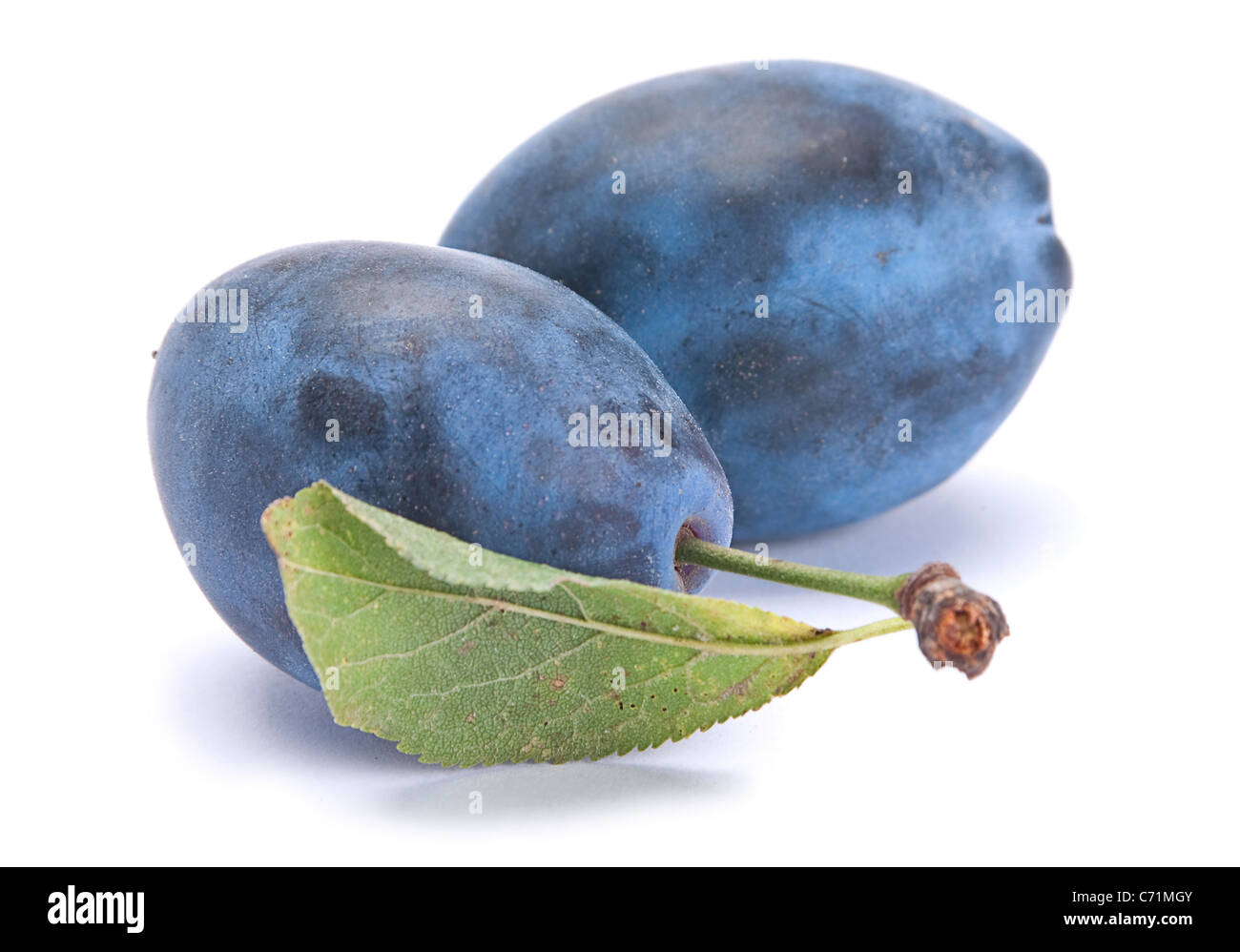 Blue fruit mûres libre isolated on white Banque D'Images