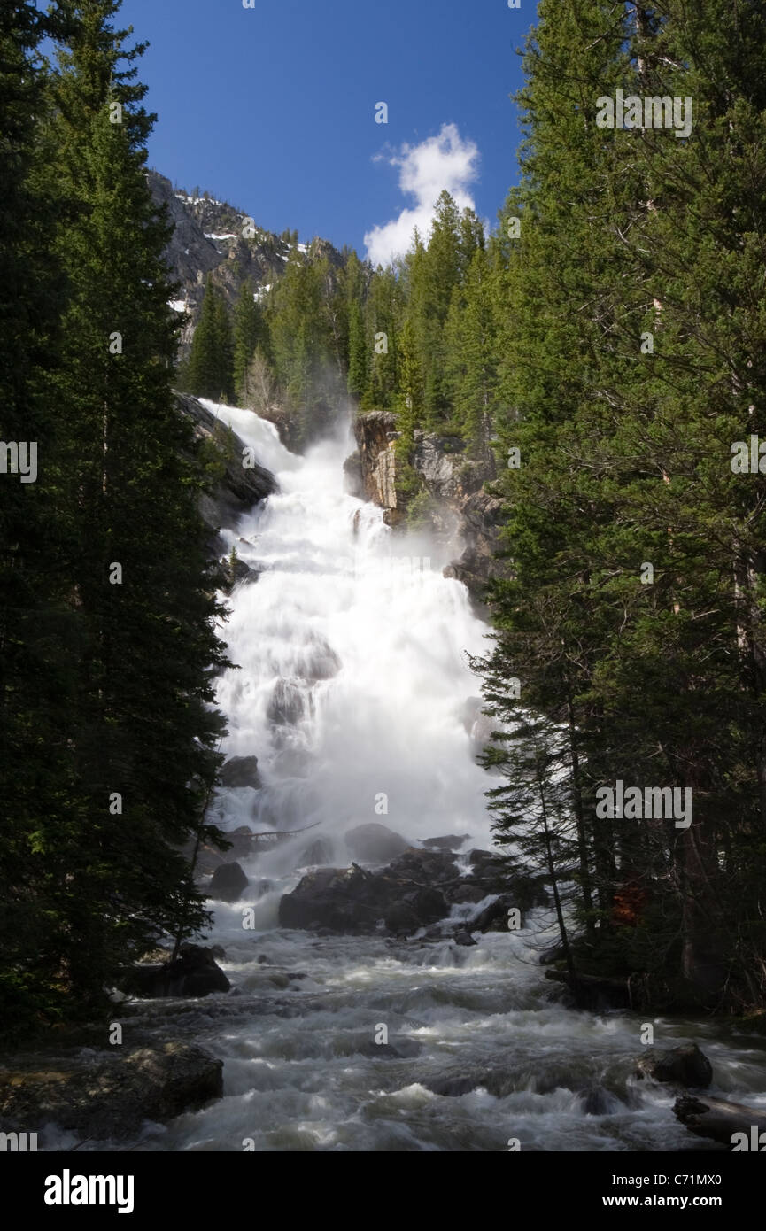 L'affichage classique du Hidden Falls à Grand Teton National Park, Wyoming. Banque D'Images