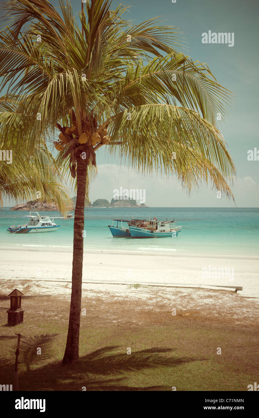 Plage avec des palmiers, regard nostalgique, Pulau Redang Island, Malaisie, Asie du Sud, Asie Banque D'Images