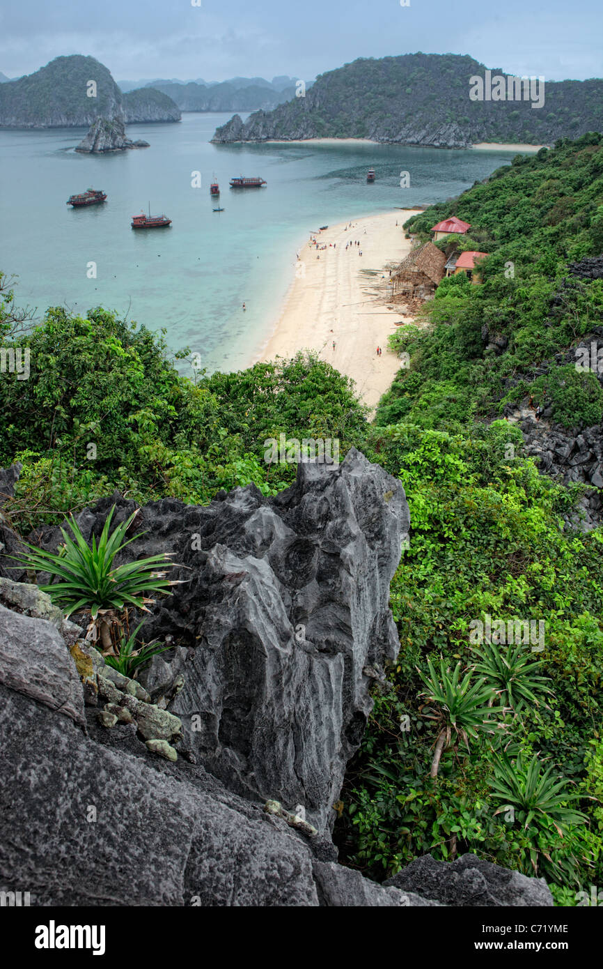 Monkey Island- Banque D'Images