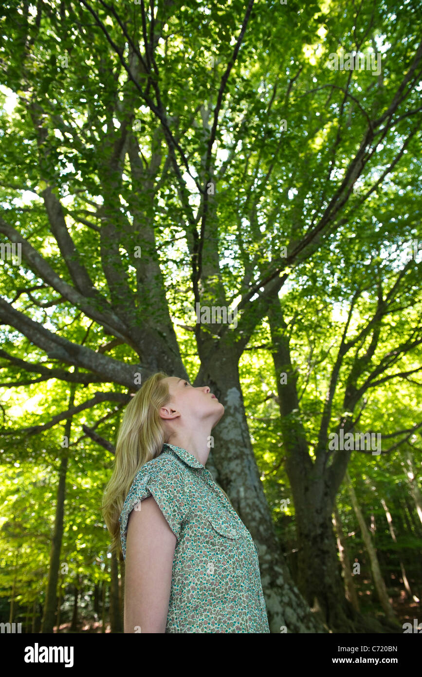 Jeune femme admirant les grands arbres Banque D'Images