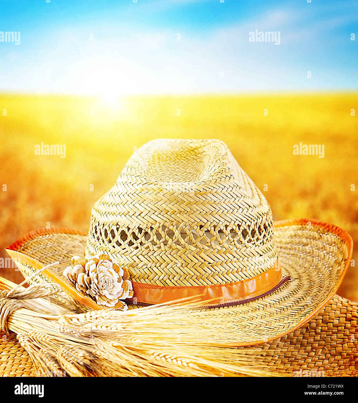 Champ de blé et le chapeau d'un agriculteur, entreprise agricole, l'industrie de la récolte saisonnière automne concept Banque D'Images