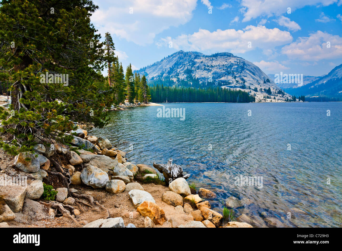Lac Tenaya, Tioga Road, Yosemite National Park, USA. JMH5290 Banque D'Images