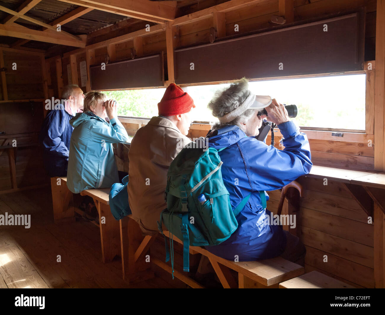 Deux couples d'observation des oiseaux dans le Washington Masquer dans la réserve naturelle nationale Holkham Norfolk Banque D'Images