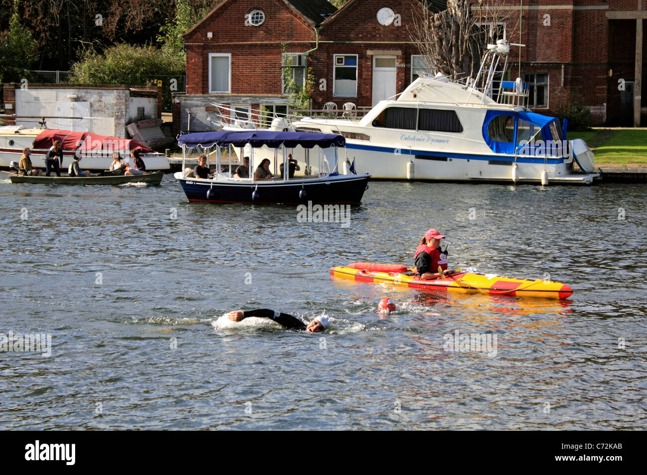 David Walliams Charité Secours Sport nager le long de la Tamise à Hampton Molesey Surrey England UK. Septembre 2011. Banque D'Images