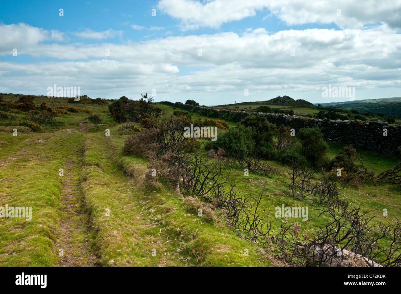 Un paysage de pistes et brûlé sur une colline de landes de bruyère. Banque D'Images