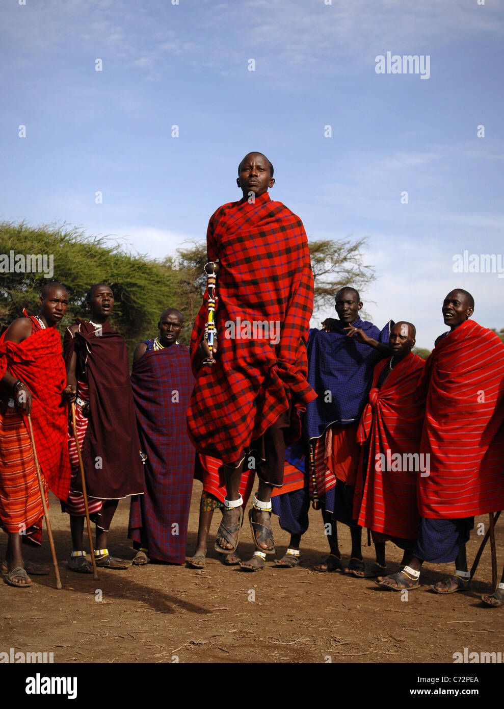 Afrique.La Tanzanie. 5 mars 2009. Village Massaï. La scène de danse de guerrier Masai,Tanzanie, Afrique de l'Est. Banque D'Images