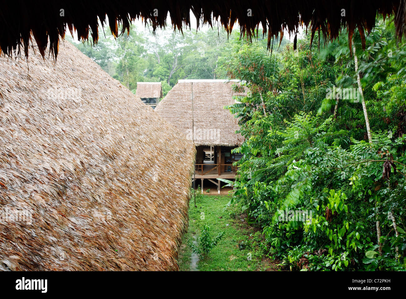 Des toits de chaume de Refugio Amazonas jungle lodge, rivière Tambopata, Pérou Banque D'Images
