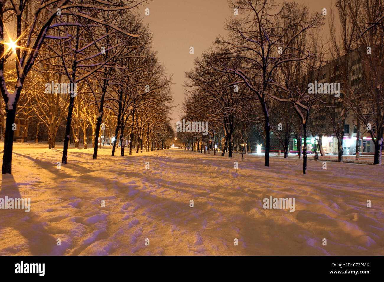 Avenue de la ville de nuit d'hiver Banque D'Images