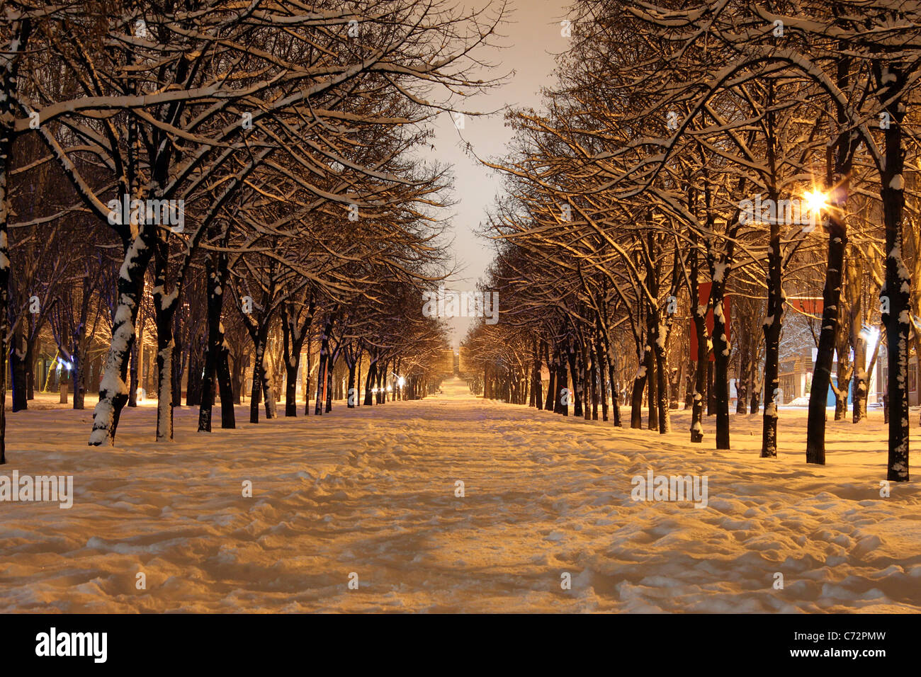 Avenue de la ville de nuit d'hiver Banque D'Images