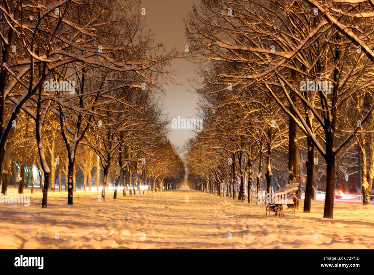 Avenue de la ville de nuit d'hiver Banque D'Images