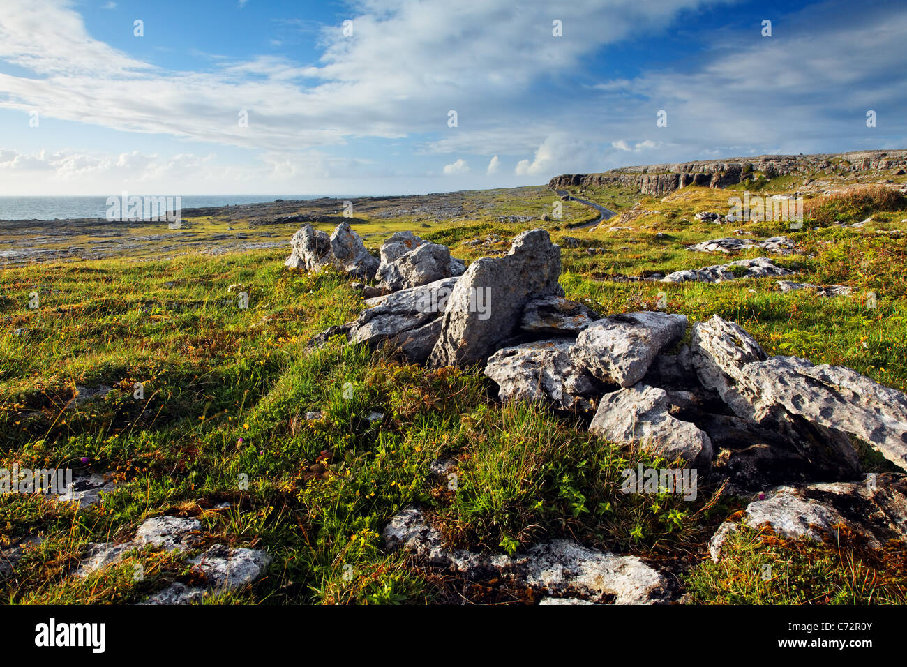 Restes de mur de pierre dans le pré donnant sur l'océan Atlantique, Tête noire, le Burren, comté de Clare, Irlande Banque D'Images