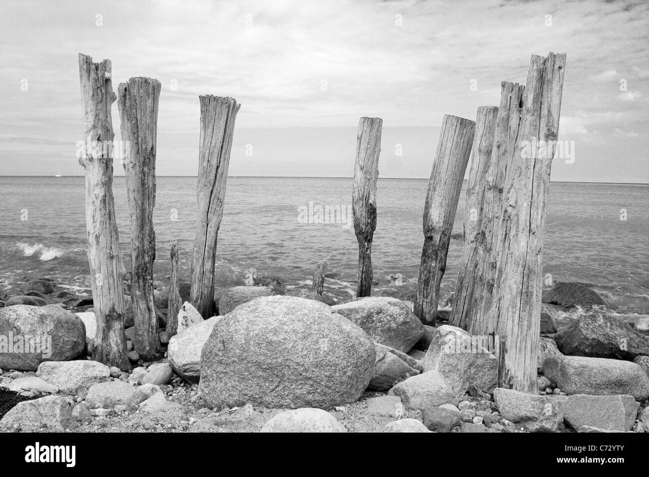 Sculptures en bois flotté, Rügen, Mecklembourg-Poméranie-Occidentale, Allemagne, Europe Banque D'Images