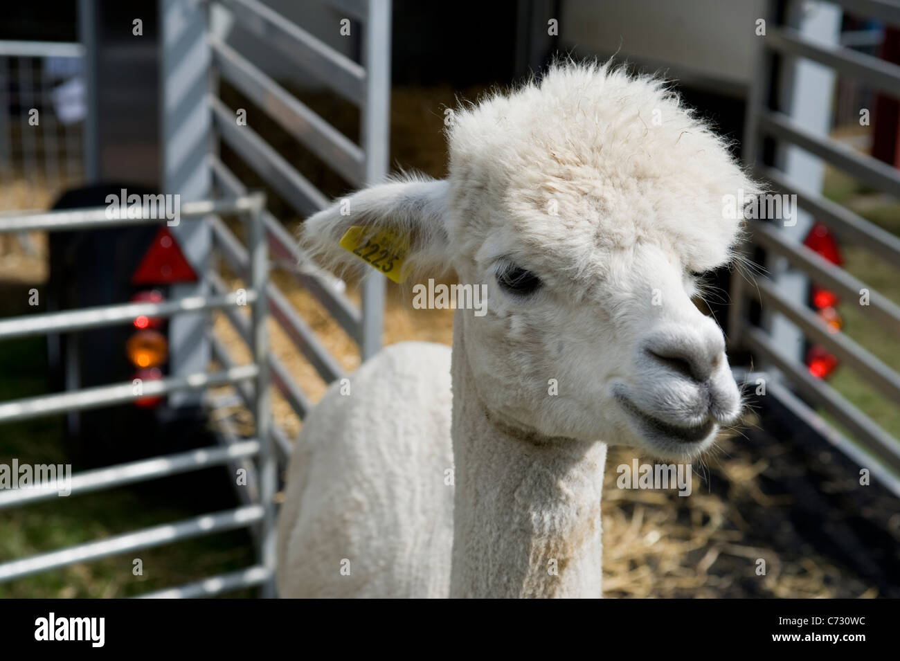 La dernière Royal Show en juillet 2009 Banque D'Images