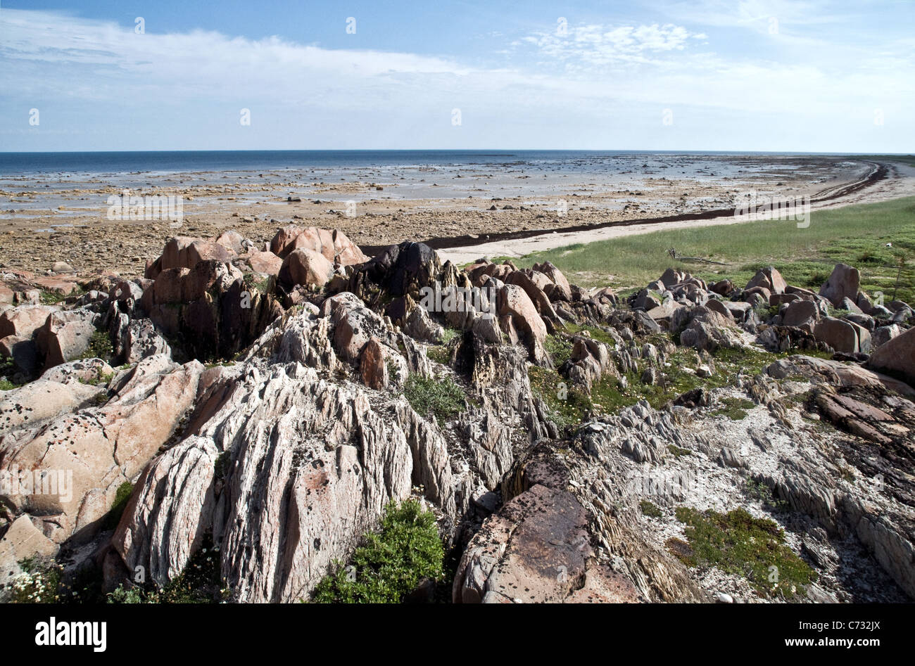 Affleurement rocheux de la côte ouest de la baie d'Hudson à marée basse dans l'océan Arctique, en terrain du Bouclier canadien, près de Churchill, Manitoba, Canada. Banque D'Images