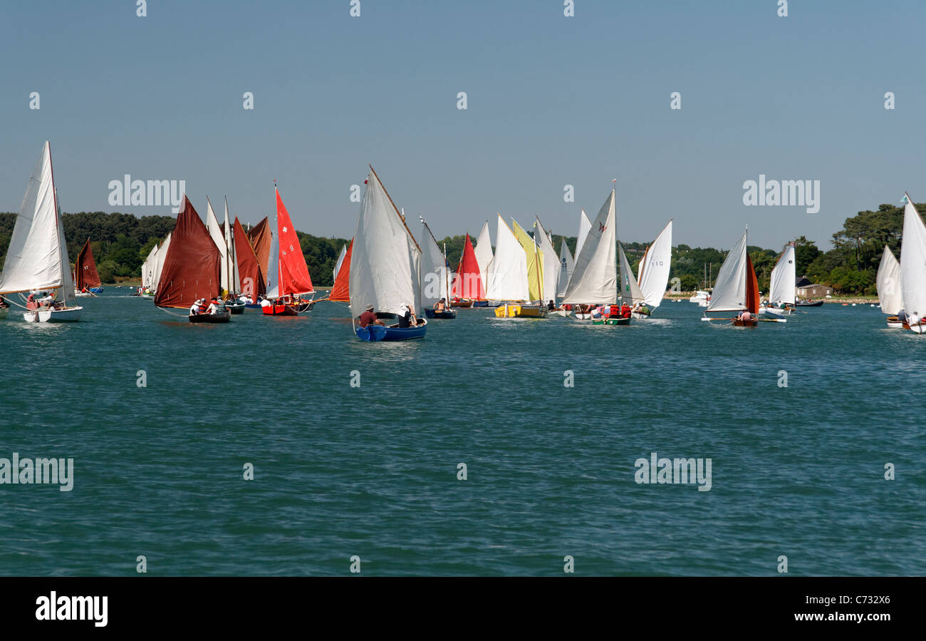 Flotille de voiliers, d'événements maritimes : semaine du golfe du Morbihan (Bretagne, France). Banque D'Images