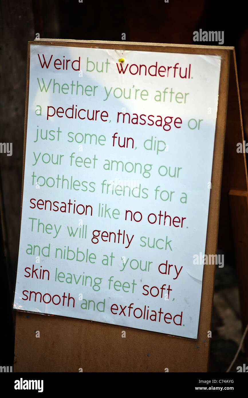 Inscription - Poisson pédicure Camden Londres Angleterre Royaume-uni Europe Banque D'Images