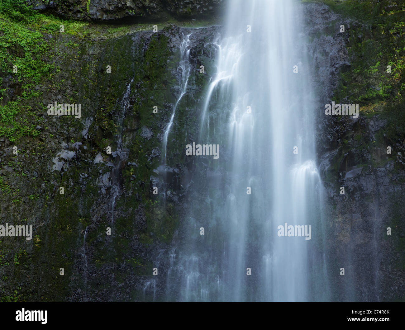 Une longue exposition image de petite chute d'eau en créant des stries sombres couvertes de mousse contre cliff Banque D'Images