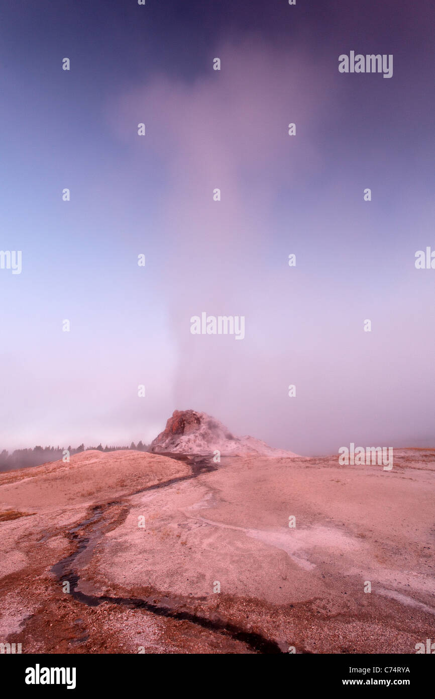 L'augmentation de vapeur White Dome Geyser de grand matin, Firehole Lake Drive, le Parc National de Yellowstone, Wyoming, USA Banque D'Images