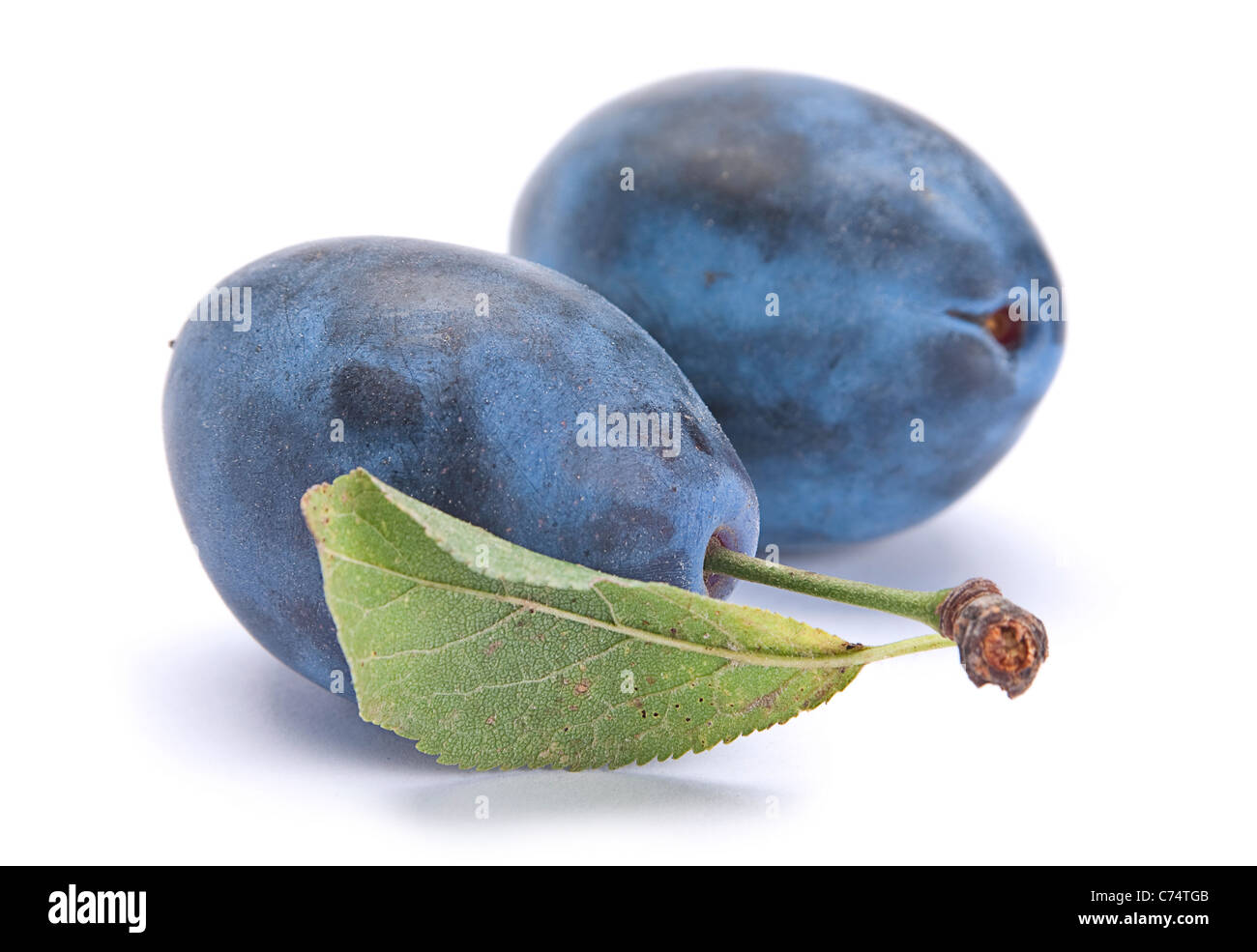 Blue fruit mûres libre isolated on white Banque D'Images