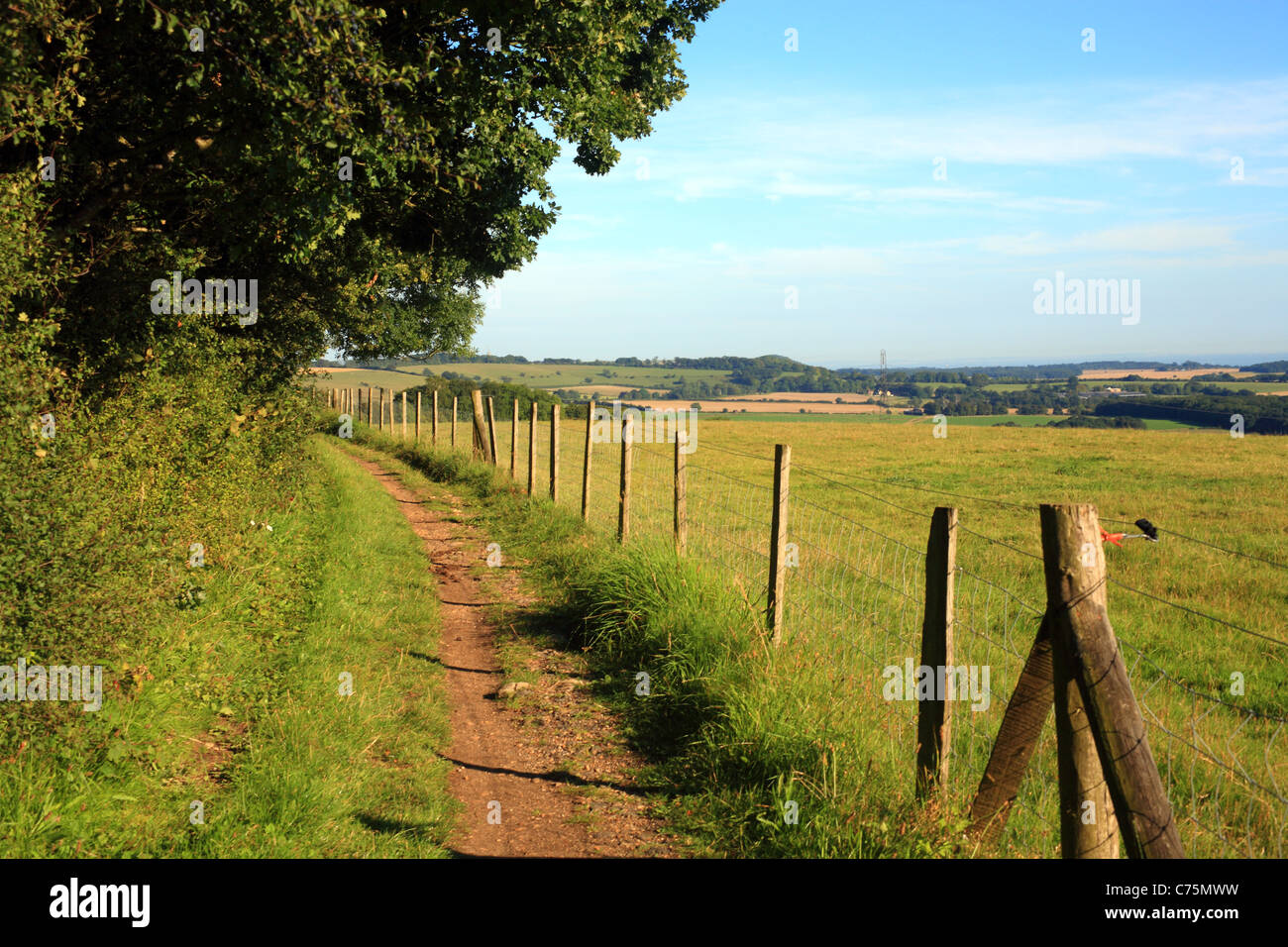 North Downs Way, au-dessus de l'Est Brabourne, Ashford, Kent, Angleterre Banque D'Images