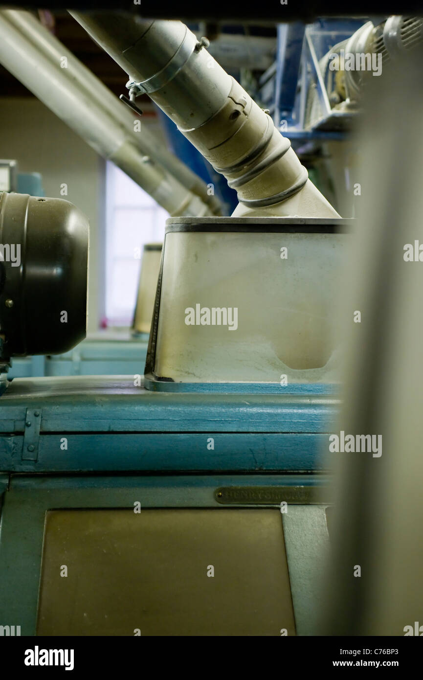 fleur Banque D'Images