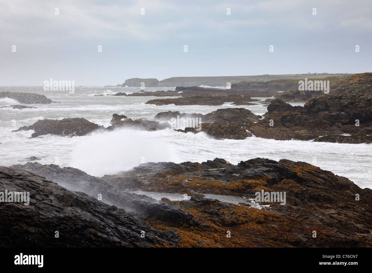 Trearddur Bay, Anglesey, au nord du Pays de Galles, Royaume-Uni. Mer agitée avec des vagues se brisant sur les rochers lors des coups de vent sur la côte ouest des Rocheuses. Banque D'Images