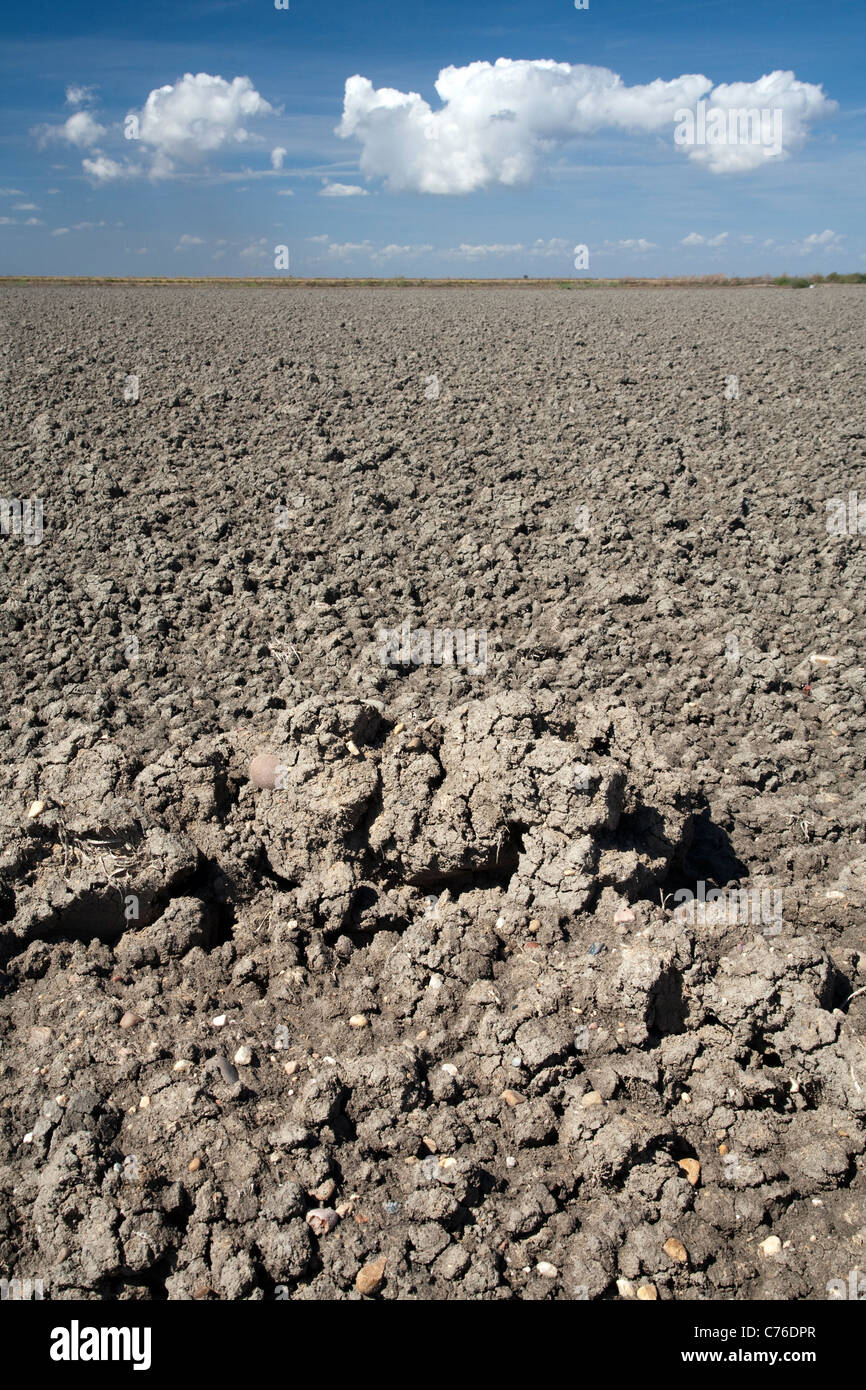Les terres agricoles, Isla Mayor, Espagne Banque D'Images