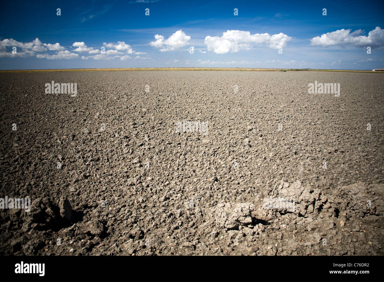 Les terres agricoles, Isla Mayor, Espagne Banque D'Images