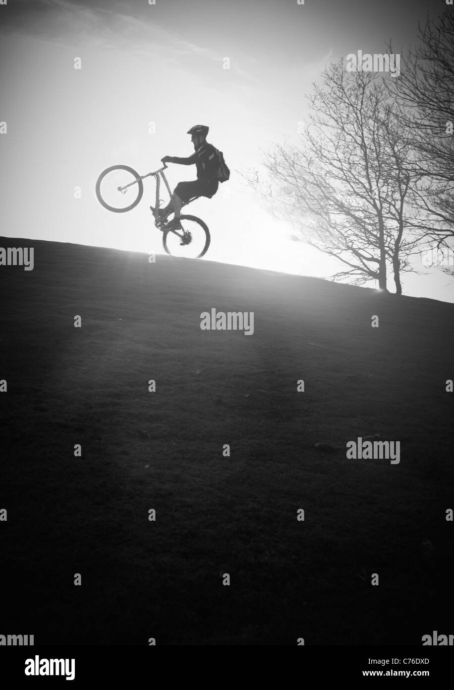 Mountain biker puling un wheelie / manuel en noir et blanc au coucher du soleil Banque D'Images