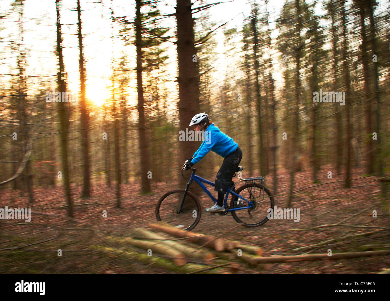 Vélo de montagne femelle bleu en haut dans les bois Banque D'Images