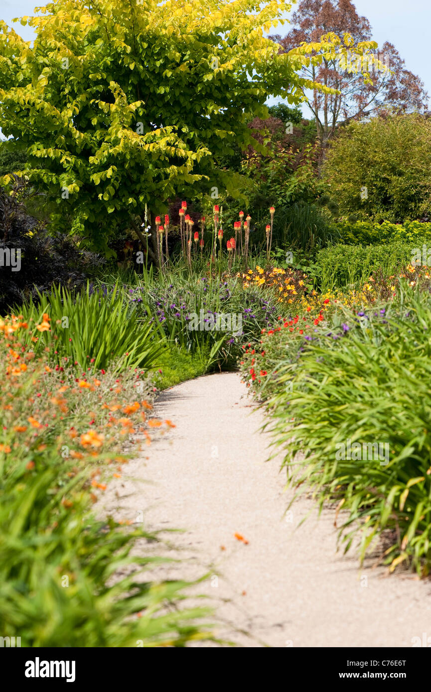 Le jardin chaud en juin, RHS Rosemoor, Devon, Angleterre, Royaume-Uni Banque D'Images