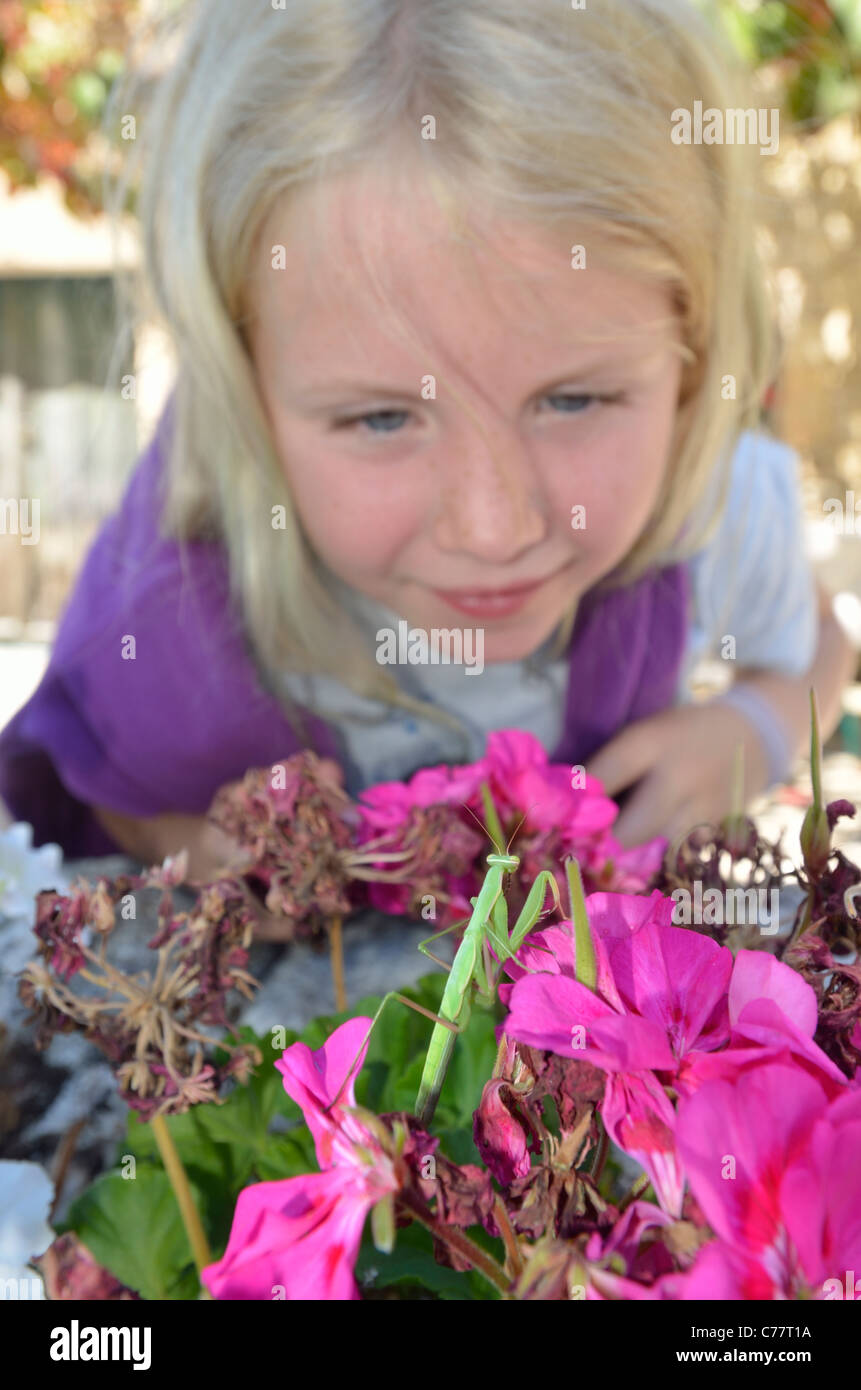 Girl photographing insectes et bestioles dans le jardin. Banque D'Images