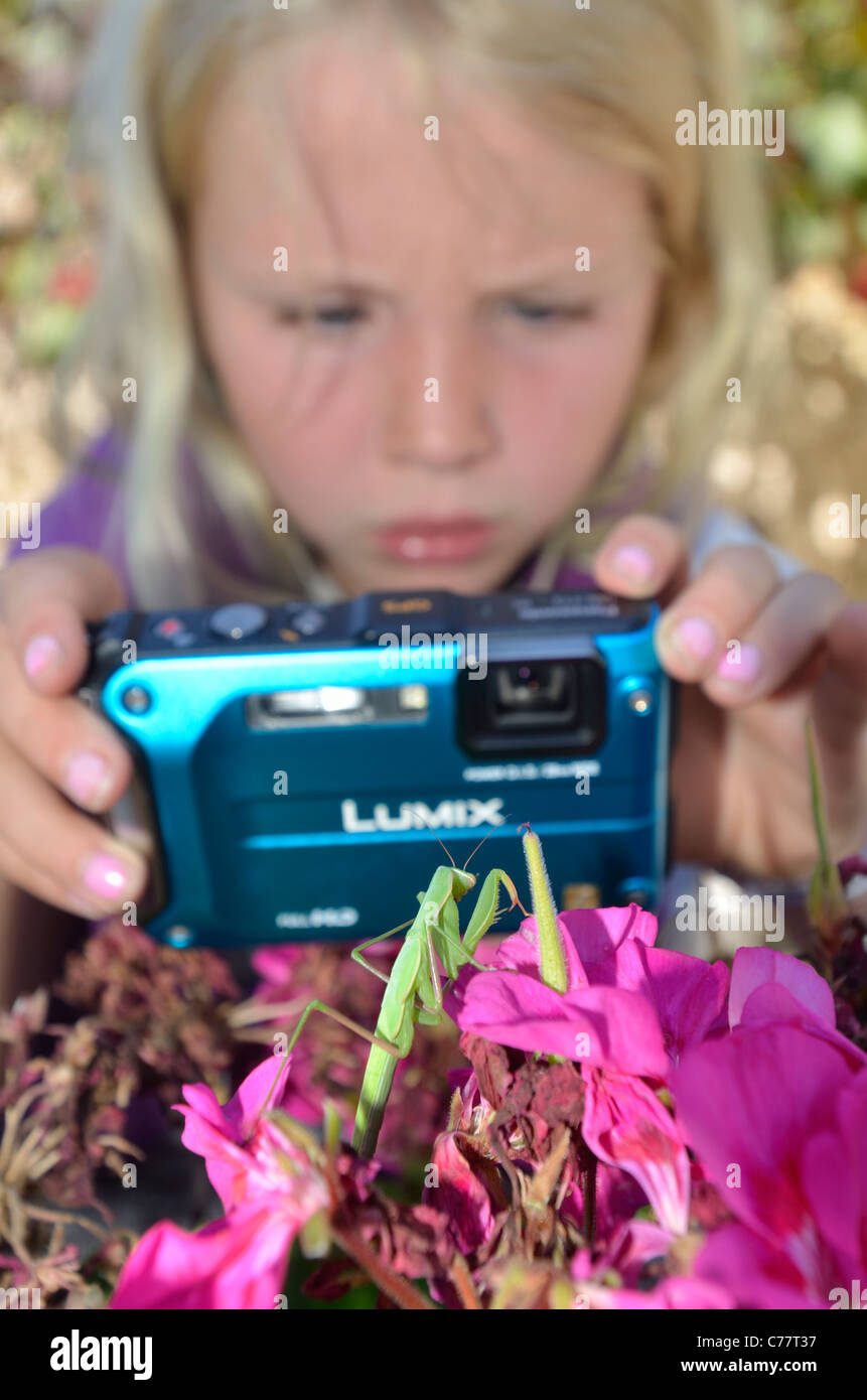Girl photographing insectes et bestioles dans le jardin. Banque D'Images