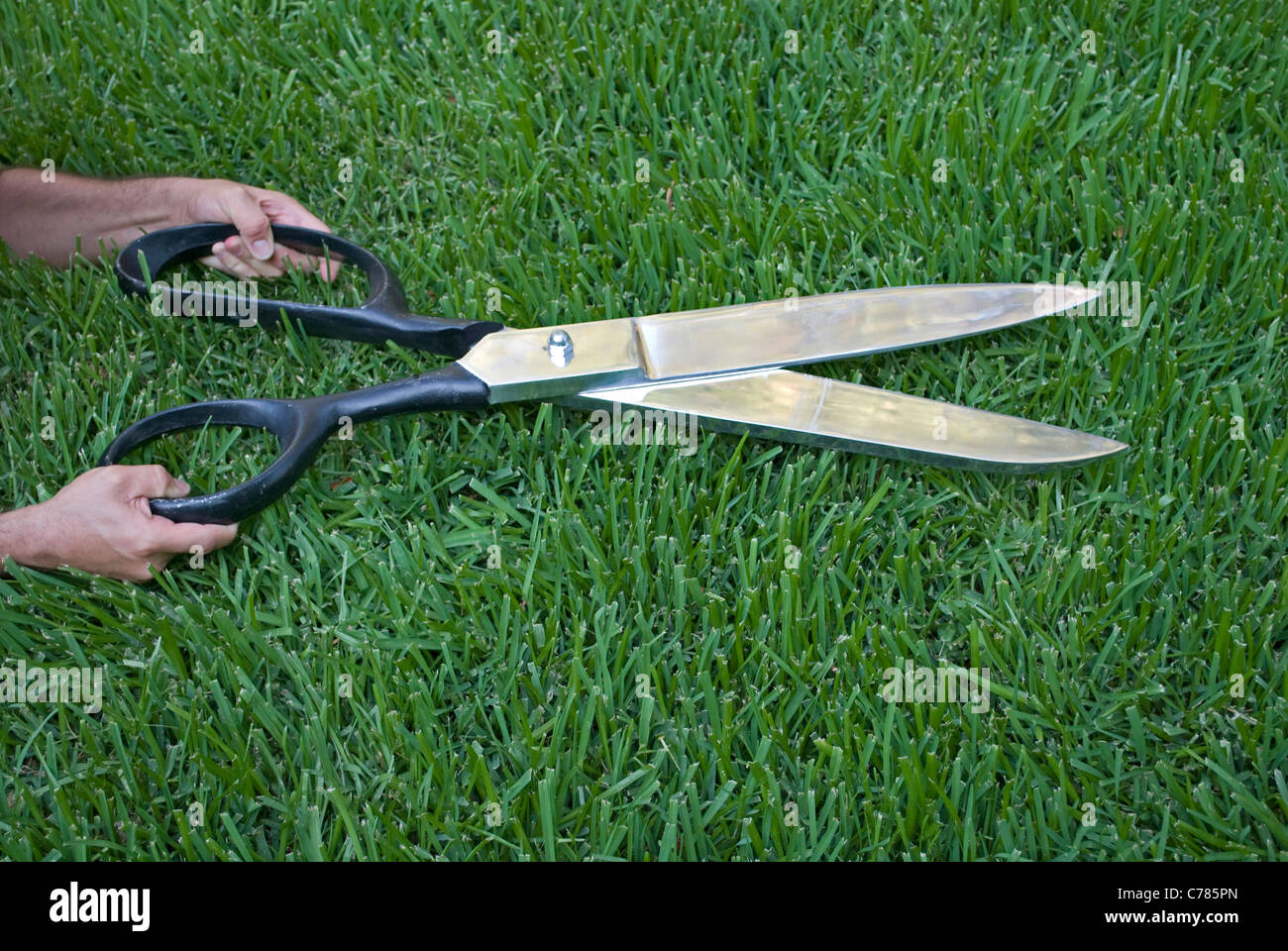 L'herbe de coupe ciseaux géant Photo Stock - Alamy