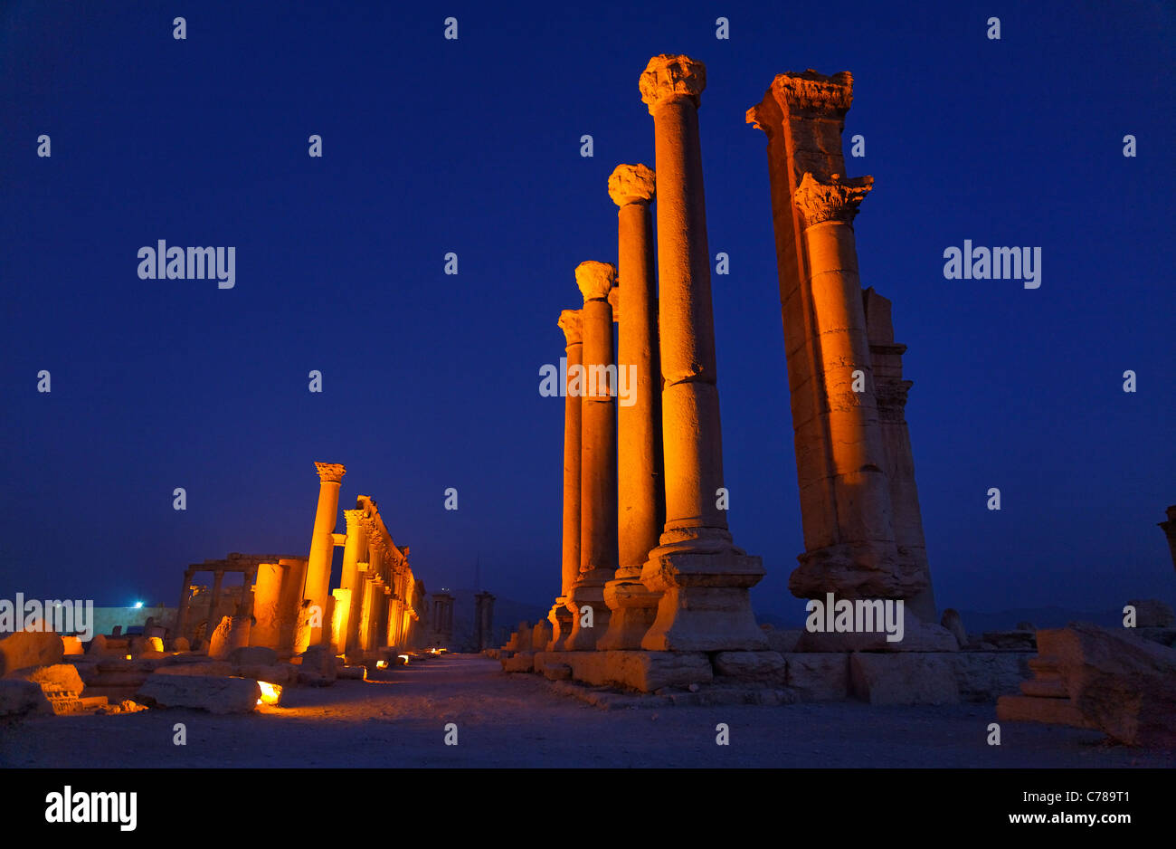 La rue à colonnade à Palmyra, Syrie Banque D'Images