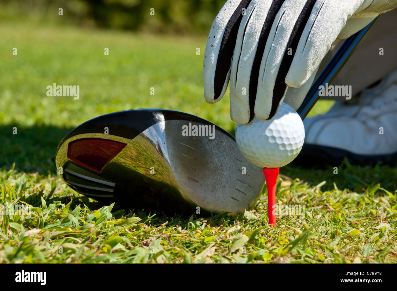 Placer la main une balle de golf sur un raccord en t, à côté d'un club. Banque D'Images