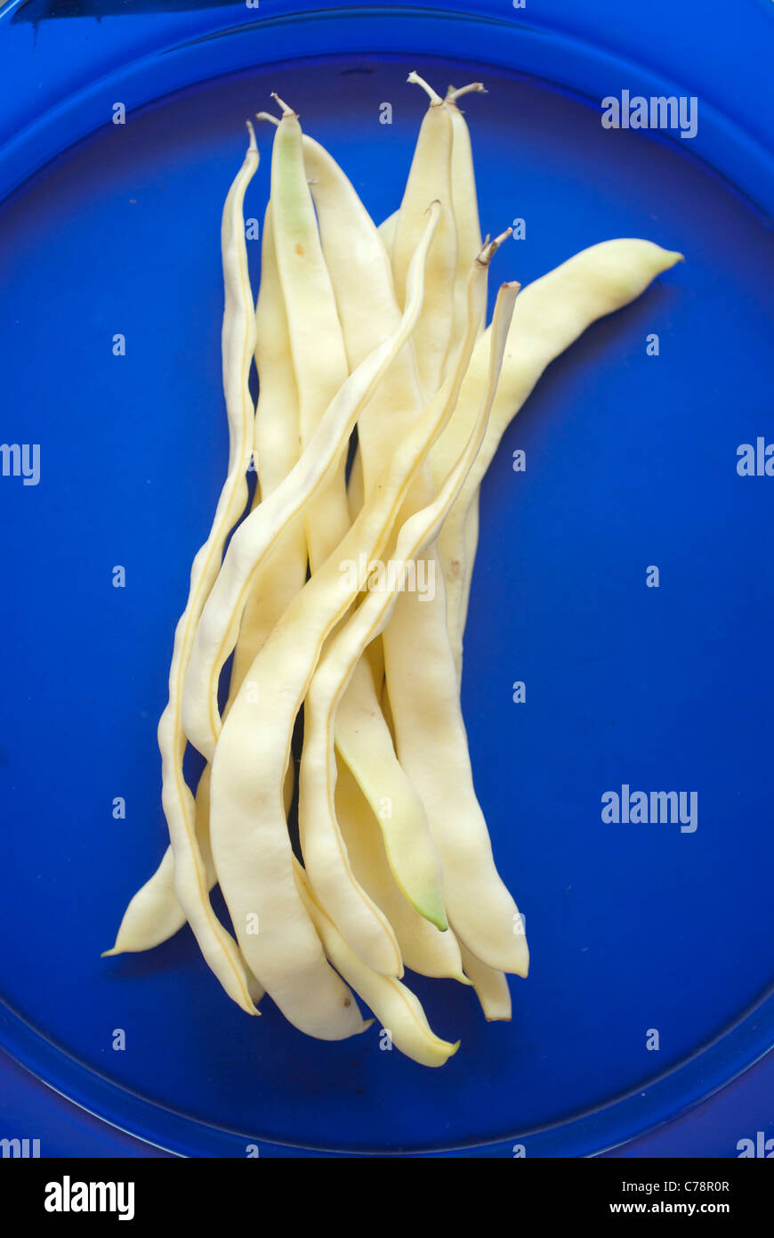 Les haricots sur une plaque bleue Banque D'Images