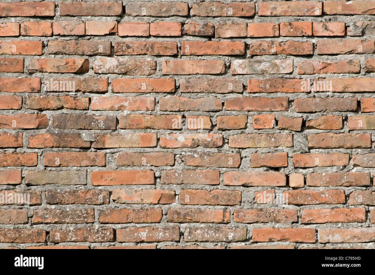 Briques Brique brickwalls brickwall murs mur de ciment de mortier Banque D'Images