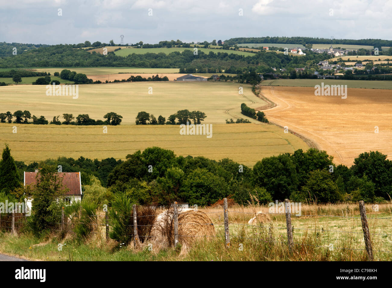 Terres agricoles de l'été, "Suisse Normande" (Suisse Normande) , Calvados, Normandie, France, Europe. Banque D'Images