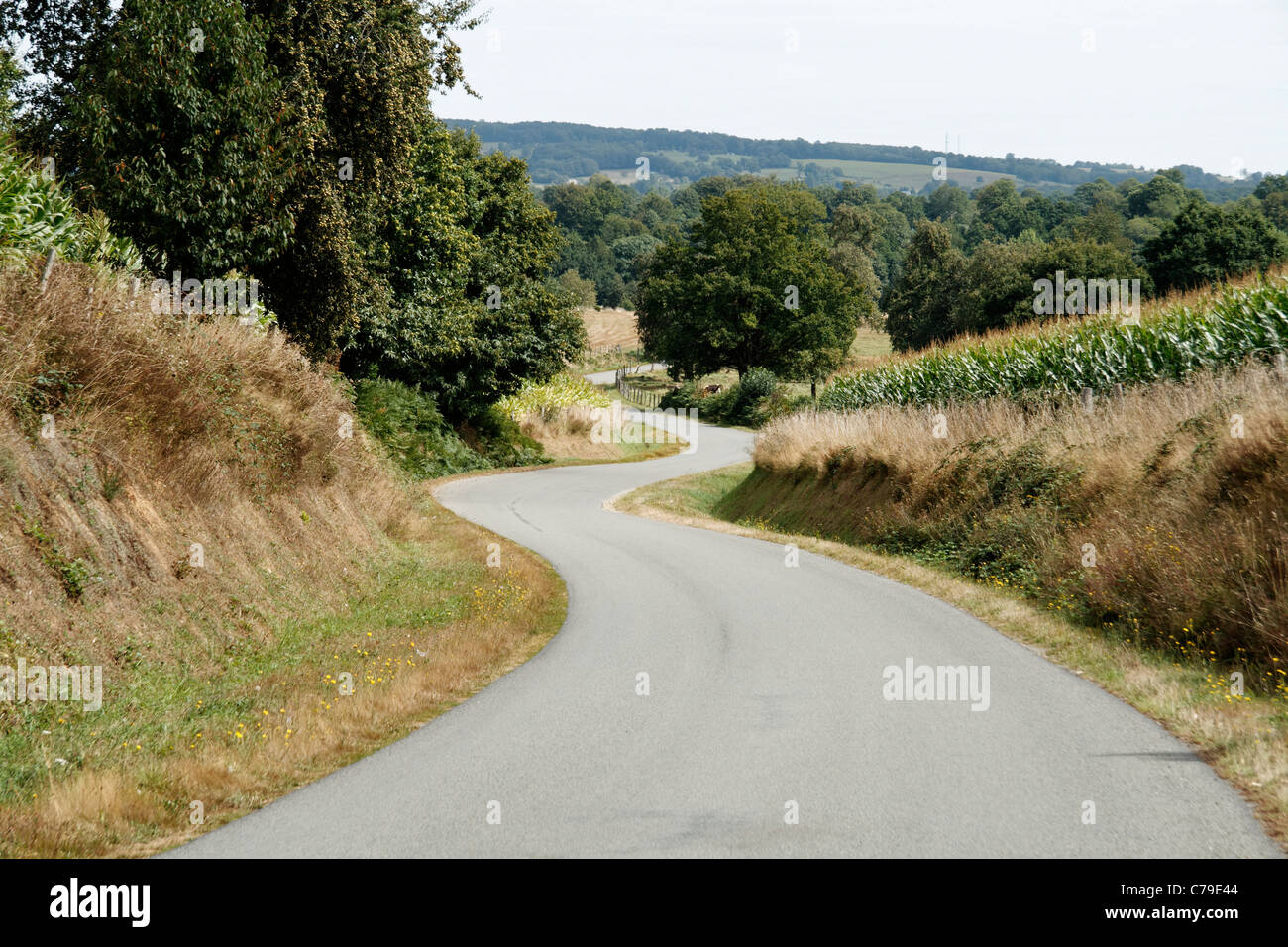 Une petite route sinueuse, à l'été, à la campagne, en Normandie, dans le sens de 'Mont Mont Margantin' (Orne, Basse-Normandie, FR). Banque D'Images