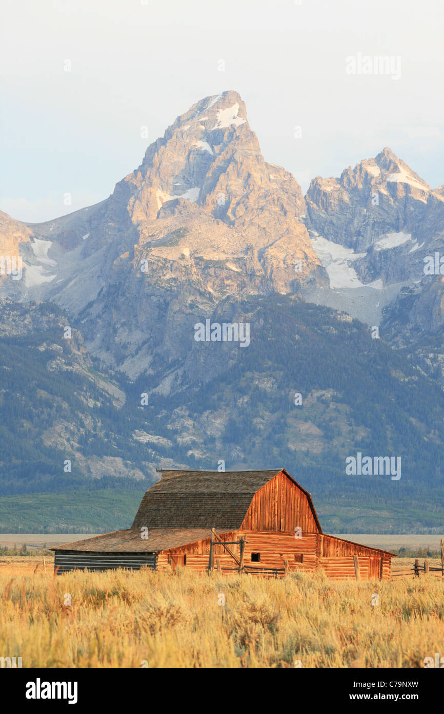 Old Moulton barn sur Mormon Row et Grand Teton mountain, Parc National de Grand Teton, Wyoming Banque D'Images