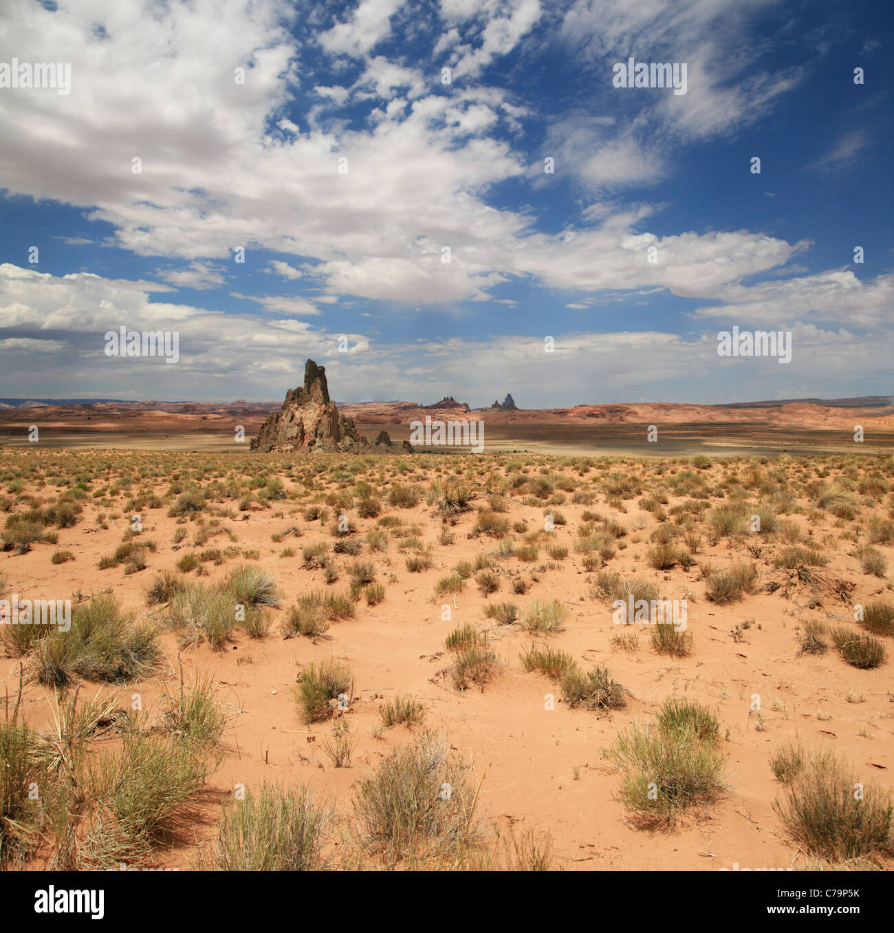 Paysage désertique dans le Nord de l'Arizona sur la Réserve Navajo avec pic lointain Banque D'Images