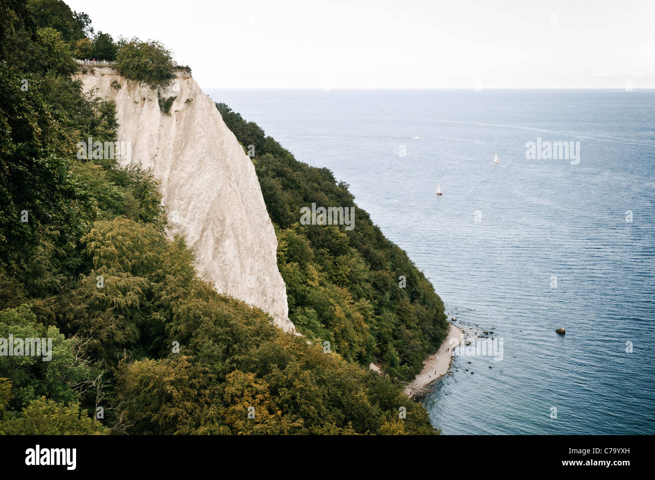 Koenigsstuhl, Président du Roi, les roches du crétacé, falaises de craie, le Parc National de Jasmund, Rügen, Mecklembourg-Poméranie-Occidentale, en allemand Banque D'Images