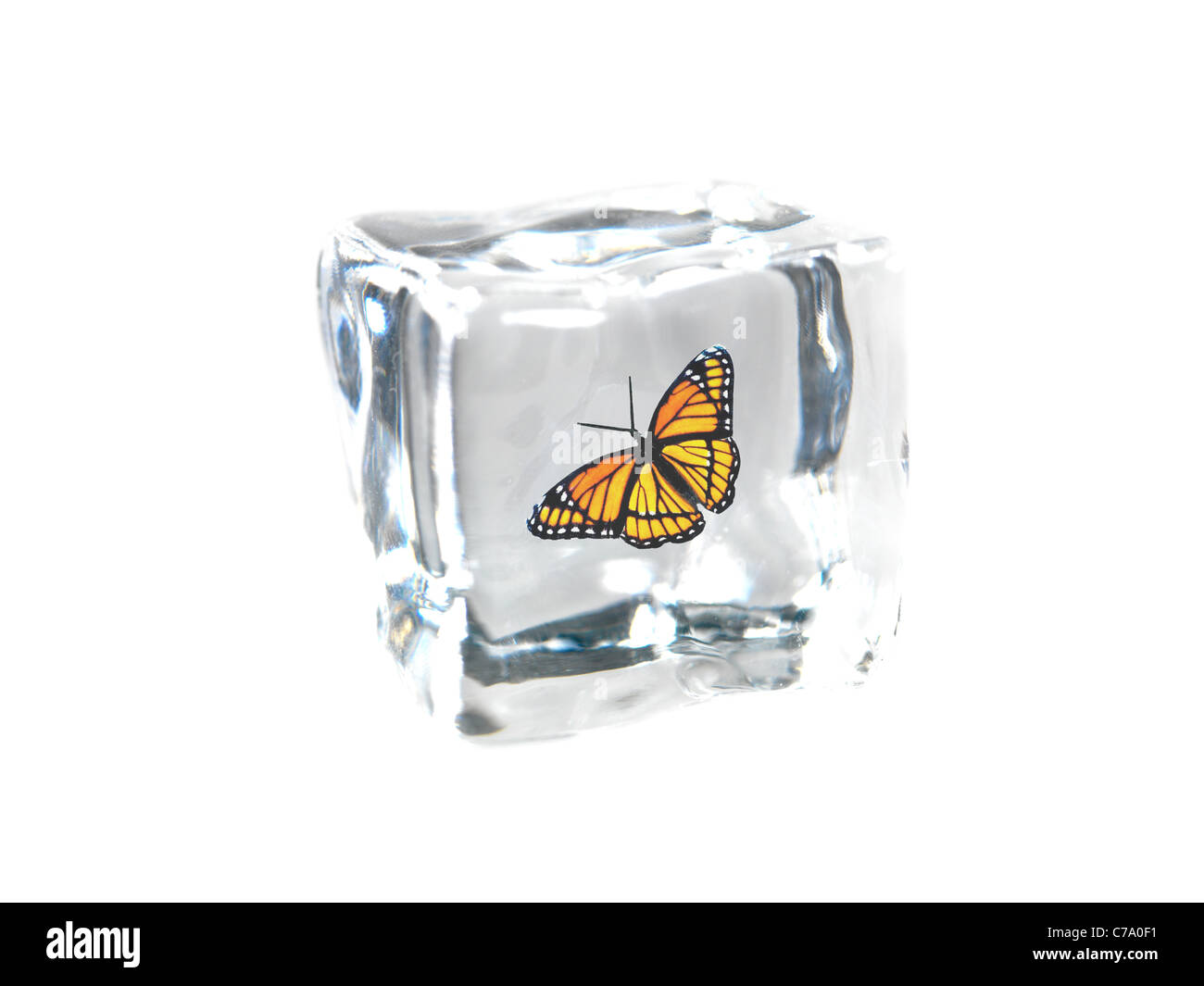 Des cubes de glace isolé sur fond blanc Banque D'Images